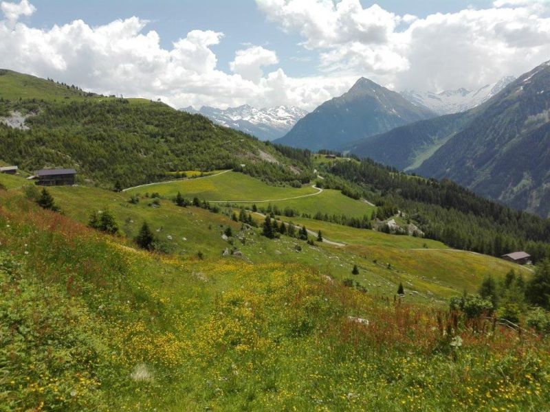 Wandern, Tux